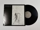 RUDIMENTARY PENI No More Pain EP Southern BOOBOO 09 V UK 2008 VG++ W/ POSTER 05D