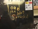 *Toad- The Wet Sprocket* RSD Black Friday 2018 5LP BOXSET