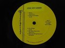 various artists original LP Long Hot Summer on Westchester Michigan garage