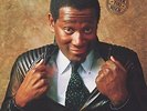 VANDROSS,LUTHER-NEVER TOO MUCH (OFV) VINYL LP NEUF