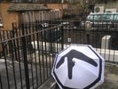 Aphex Twin windowlicker umbrella RARE ITEM Warp Records LAST ONE - Free Gift