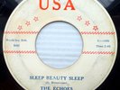 the ECHOES doo-wop original USA 45 SLEEP BEAUTY SLEEP b/w HE WON'T TELL pc349