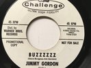 Jimmy Gordon - Buzzzzzz - Challenge - PROMO GARAGE FUZZ TITTYSHAKER 45 HEAR