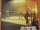 Noel Gallagher's H.F.B. Dream On 12