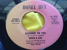 Hear Rare Funk Modern Soul 45 : Brian & Zan   Schemin' On You   Honey Hut 100