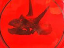 Alice In Chains ?– The Devil Put Dinosaurs Here Picture Disc Vinyl 2LP 2013 NEW