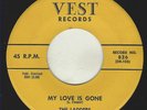 RARE & GREAT NYC DOO WOP 1ST PRESS (NO STARS) THE LADDERS VEST# 826