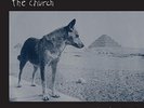 The Church - Priest = Aura (180 Gram, 2 Disc) VINYL LP NEW