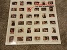 JOHN PRINE Prime Prine Best of.... ** orig. US issue 1976