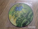 Yes - The Drama Line-Up Return From Here Return Trip Picture Disc
