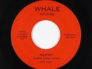 Power Pop 45 - Hot Lucy - Kid Stuff/Switchitter - Whale - mp3
