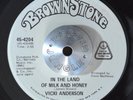 SOUL FUNK 45 - VICKI ANDERSON - IN THE LAND OF MILK & HONEY Promo VG+ Hear