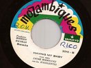 Panama Soul 45 JAIME RODRIGUEZ & LOS EXCELENTES Having My Baby TAMAYO Hear mp3