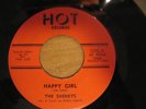 The Sherrys - Put Your Arms Around Me / Happy Girl 45 Hot 1002