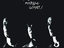YOUNG MARBLE GIANTS-COLOSSAL YOUTH VINYL LP NEW