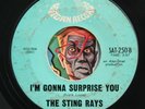 HEAR Sting Rays 45 I'M Gonna Surprise You/Lady Be Good R&B northern soul mod