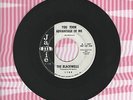 The Blackwells You Took Advantage Of Me Jamie Promo 45 Record Teen Phil Spector