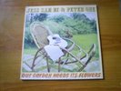 JESS SAH BI & PETER ONE Our garden needs its flowers LP DBS 1985 IVORY COAST
