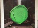 THE METERS CABBAGE ALLEY 1972 FUNK BLUES DANCE CLASSIC LP *WHITE LABEL PROMO*