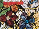 35) THE BEACH BOYS WILD HONEY First Press T-2859 1967 UK PRESSING MONO 12