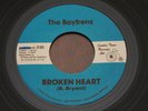 The Boyfrenz 45 Broken Heart One More Night private MI power pop 7