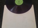 Bob Dylan Vinyl - While The Establishment Burns GWW LP CV-Purple Winklhofer 1848