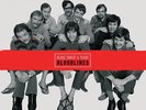 Bloodlines [8 45 RPM 200 Gram Vinyl] [Booklet] [Box] * by Blood, Sweat & Tears