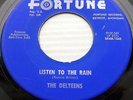 DELTEENS doowop 45 ALTERNATE vers.LISTEN TO THE RAIN why don't you LOVE ME PC194