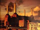 Pink Floyd Animals RED LABELS NEAR MINT Columbia Vinyl LP