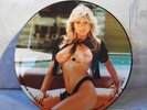 Samantha Fox Interview  picture disc vinyl Record    Cheesecake
