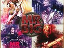 Mr. Big 