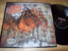 1970 The Royal Teens EXCELLENT Newies But Oldies 12