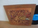 FEVER TREE FOR SALE Hard Garage Psych + 12:56 HEY JOE 1970