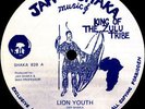 JAH SHAKA Lion Youth 12