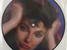 Kate Bush, The Big Sky, NEW/MINT Ltd edition PICTURE DISC 7 inch vinyl single