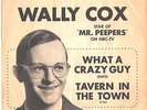 WALLY COX--PICTURE SLEEVE ONLY---(WHAT A CRAZY GUY)--PS--PIC--SLV