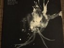 Sigur Ros - Route One - RSD Vinyl Lp Limited 1000