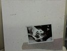 FLEETWOOD MAC   TUSK   1979 Original Vinyl Recording   1st Pressing   EX/EX+