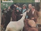 The Beach Boys Pet Sounds VG Vinyl LP Record T 2458 Original US Mono Press T1-T2
