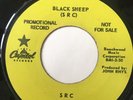 Psych Promo 45/ SRC 