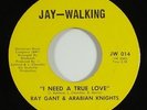 Ray Gant & Arabian Knights 