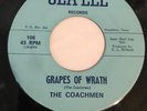 THE COACHMEN-Grapes Of Wrath 45 SEA ELL Rare TEXAS Psych Garage