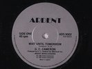 G.C. CAMERON: Wait Until Tomorrow / Shadows 45 (UK, Modern Soul Boogie) Soul
