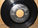 E.J. & THE ECHOES IF YOU JUST LOVE ME/TREAT ME RIGHT DIAMOND JIM 8789 (G) 45
