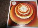 Stevie Wonder 