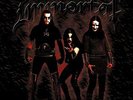 IMMORTAL-DAMNED IN BLACK (LTD) VINYL LP NEW