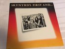 LYNYRD SKYNYRD: Skynyrd’s First and Last US MCA Southern Rock Vinyl LP NM