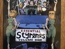Styrenes ?Essential Volume One 1975-1979 (Vinyl) 2012, SEALED proto punk rock