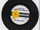THE PURPLE HEARTS - Of Hopes And Dreams And Tombstones / I'm Gonna Try