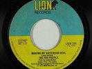 70s Soul 45 - We The People - Making My Daydream Real - Lion - mp3